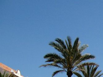 Fuengirola promenade
